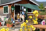 koya2006.jpg
